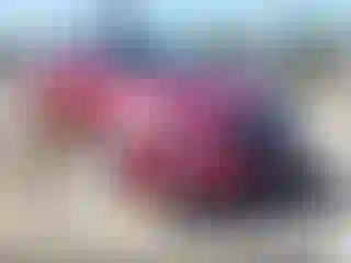 Vehicle Image- 2015 Nissan Altima