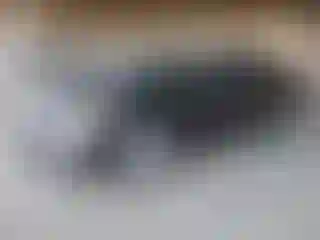 Vehicle Image- 2015 Nissan Altima