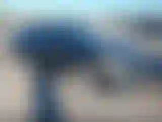 Vehicle Image- 2013 Nissan Altima