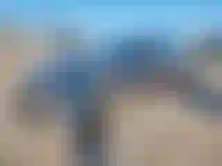 Vehicle Image- 2015 Nissan Altima