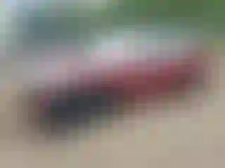 Vehicle Image- 2016 Nissan Altima