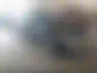 Vehicle Image- 2016 Nissan Altima