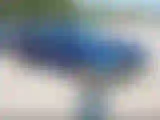 Vehicle Image- 2017 Nissan Altima