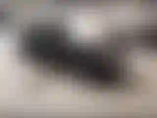 Vehicle Image- 2018 Nissan Altima