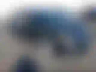 Vehicle Image- 2013 Nissan Altima