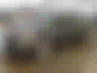 Vehicle Image- 2013 Nissan Altima