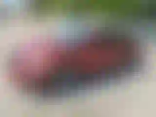 Vehicle Image- 2013 Nissan Altima