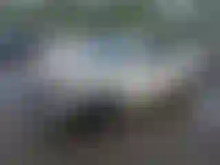 Vehicle Image- 2013 Nissan Altima