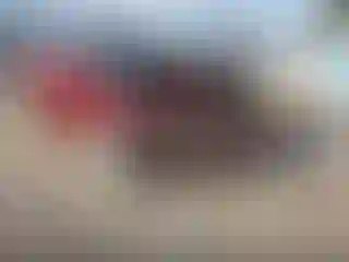 Vehicle Image- 2013 Nissan Altima