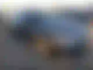 Vehicle Image- 2016 Nissan Altima