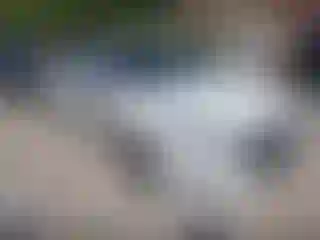 Vehicle Image- 2021 Nissan Altima