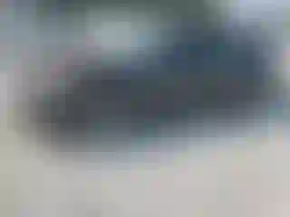 Vehicle Image- 2004 Nissan Maxima