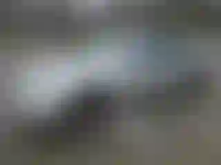 Vehicle Image- 2005 Nissan Maxima