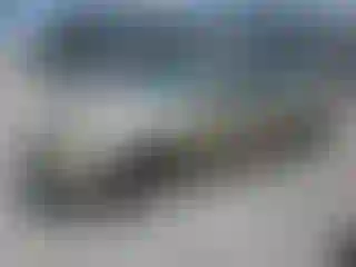 Vehicle Image- 2004 Nissan Maxima