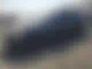 Vehicle Image- 2004 Nissan Maxima