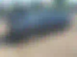 Vehicle Image- 2008 Nissan Maxima