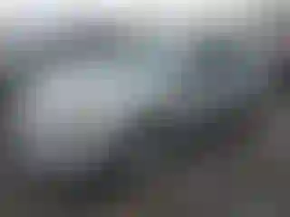 Vehicle Image- 2005 Nissan Maxima