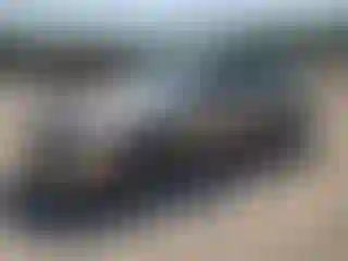 Vehicle Image- 2006 Nissan Altima