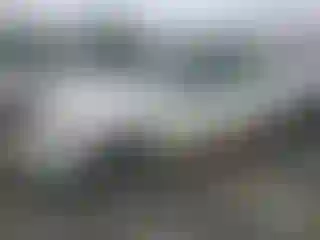 Vehicle Image- 2005 Nissan Altima