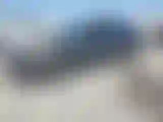 Vehicle Image- 2005 Nissan Altima