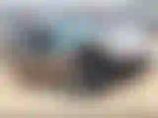 Vehicle Image- 2004 Nissan Altima