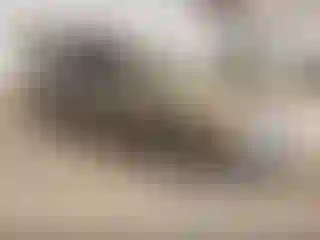 Vehicle Image- 2005 Nissan Altima