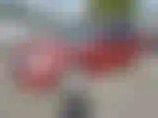Vehicle Image- 2003 Nissan Altima