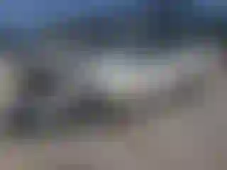 Vehicle Image- 2007 Nissan Altima