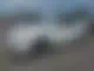 Vehicle Image- 2008 Nissan Altima