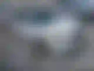 Vehicle Image- 2007 Nissan Altima
