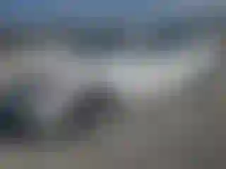 Vehicle Image- 2007 Nissan Altima