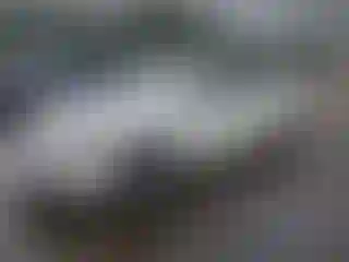 Vehicle Image- 2008 Nissan Altima