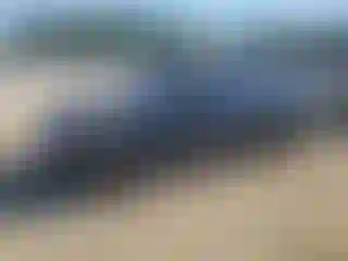 Vehicle Image- 2008 Nissan Altima