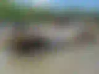 Vehicle Image- 2009 Nissan Altima