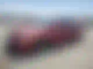 Vehicle Image- 2007 Nissan Altima