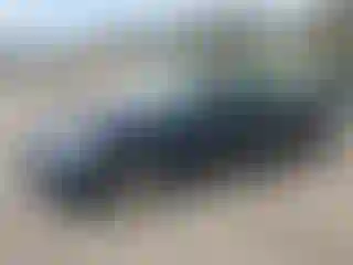 Vehicle Image- 2008 Nissan Altima