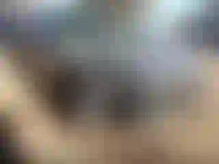 Vehicle Image- 2008 Nissan Altima