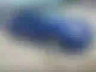 Vehicle Image- 2008 Nissan Altima