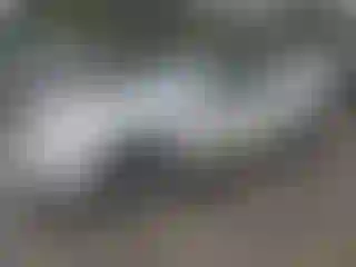 Vehicle Image- 2008 Nissan Altima