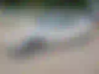 Vehicle Image- 2008 Nissan Altima