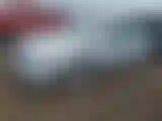 Vehicle Image- 2010 Nissan Altima