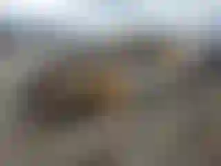 Vehicle Image- 2020 Nissan Altima