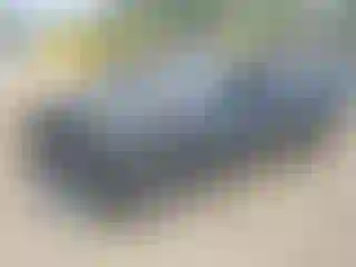 Vehicle Image- 2020 Nissan Altima