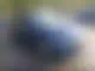 Vehicle Image- 2022 Nissan Altima