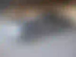 Vehicle Image- 2020 Nissan Altima