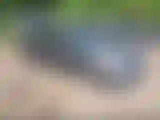 Vehicle Image- 2022 Nissan Altima