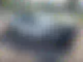 Vehicle Image- 2019 Nissan Altima