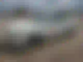 Vehicle Image- 2020 Nissan Altima