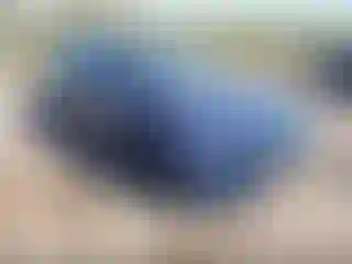 Vehicle Image- 2020 Nissan Altima