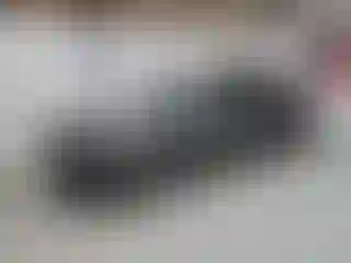 Vehicle Image- 2023 Nissan Altima